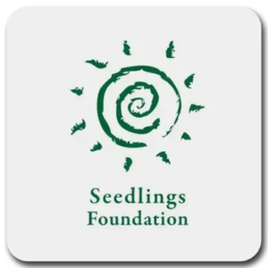 Seedlings 1x1