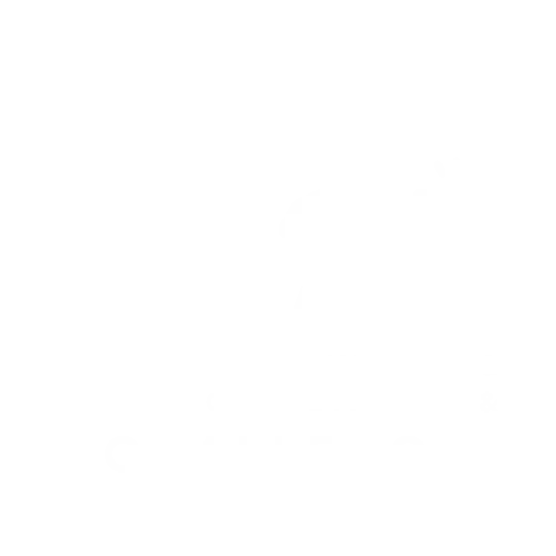 Challenges