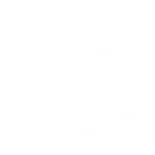 Icon-Advisors