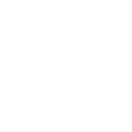 Icon-Internship