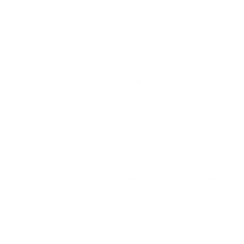 Icon-Shop